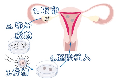 关于清砚堂中医馆